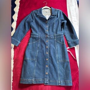 LOFT Blue Denim Shirt Dress NWT 8
